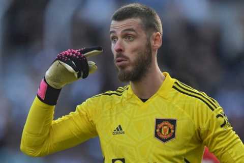 Man Utd fans fed up with David De Gea and moan ‘he can’t be our first choice next season’