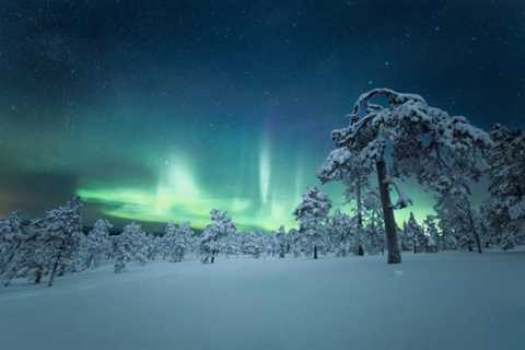 Winter Wonderlands With Northern Lights