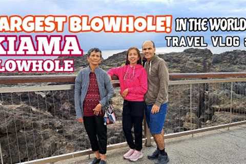 Australia Travel Vlog ~ KIAMA BLOWHOLE ● LARGEST blowhole in the WORLD! | New South Wales