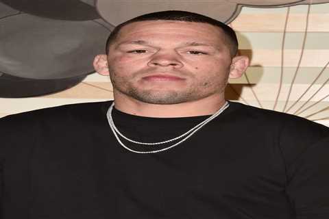 UFC star Nate Diaz JAILED in US over street fight with Logan Paul lookalike after turning himself..