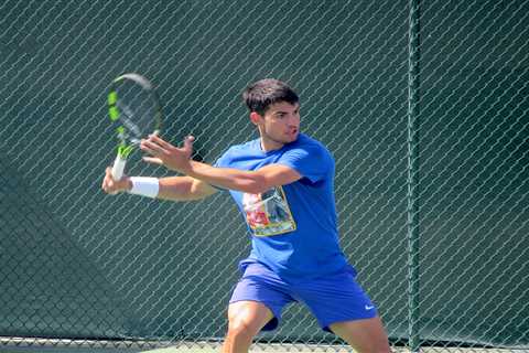 Alcaraz vs. Dimitrov, Rublev vs. Nishioka