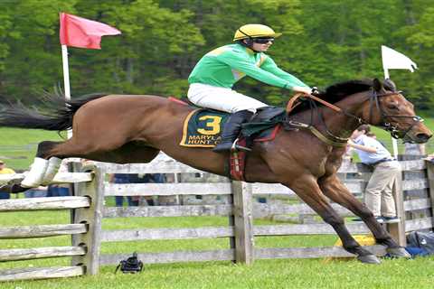 Maryland Hunt Cup, Queen’s Cup, Foxfield recap