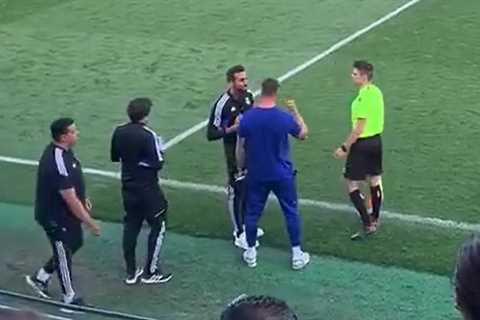 Watch Fernando Torres get sent off during U19 game for shoving rival coach – who is his former..