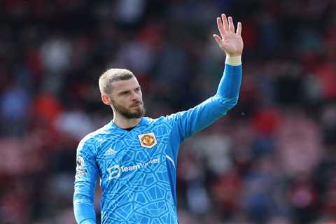 Man Utd star David de Gea wins Premier League Golden Glove but fans reckon TWO team-mates deserve..