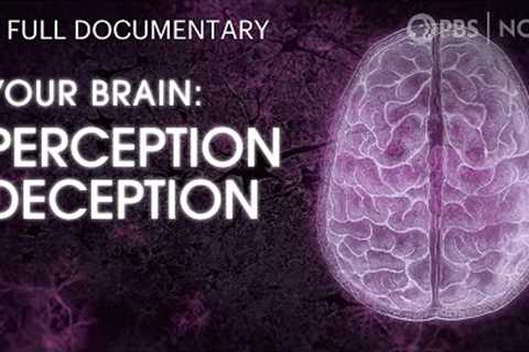 Your Brain: Perception Deception | Full Documentary | NOVA | PBS