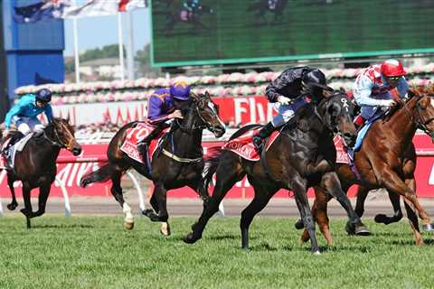 Legendary horse Fiorente dies aged 15 after ‘chronic illness’ leaving racing world ‘devastated’