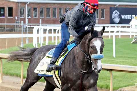 Kentucky Derby Runner Reincarnate To Skip Belmont Stakes, Target Travers Stakes – Horse Racing News