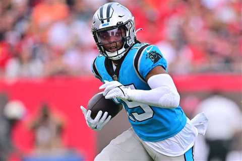 Panthers Have A Bold Plan For Laviska Shenault