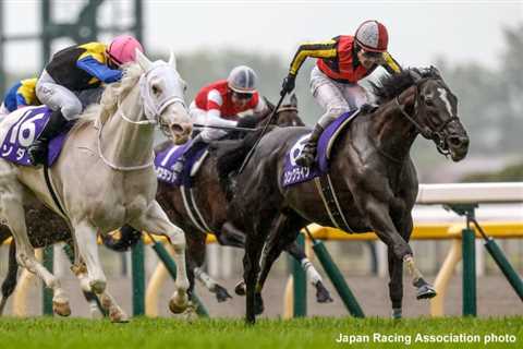 Sodashi, Songline Renew Rivalry In ‘Win And You’re In’ Yasuda Kinen – Horse Racing News