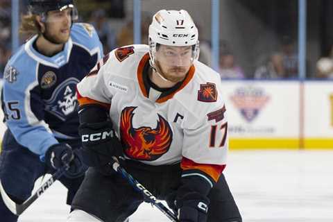 Wisconsin native McCormick lifts Firebirds in Game 5 | TheAHL.com