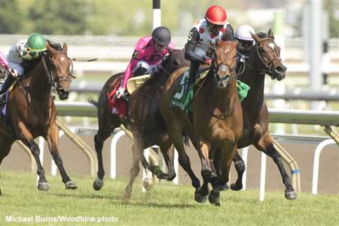 Live Oak Plantation’s Our Flash Drive, Souper Hoity Toity Score Graded Wins At Woodbine – Horse..