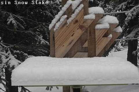 Colorado's Lone Open Ski Resort Just Got Hit With Multiple Inches Of Summer Snow