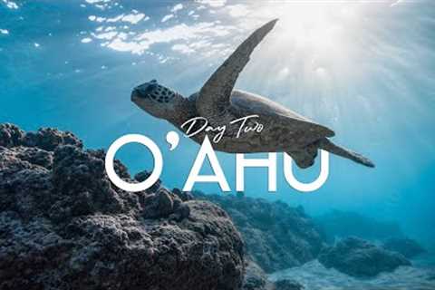 O''ahu, Hawaii | Day Two  - Pearl Harbor Memorial, Dole Plantation, Laniakea Beach, and Shark''s..