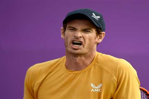 Andy Murray’s family fume as Brit hero is LEFT OUT of Wimbledon’s painting of 15 champions past and ..