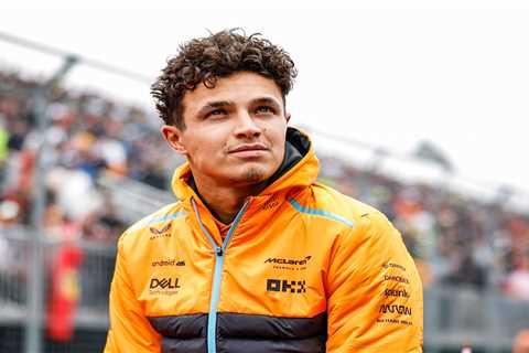 F1 ace Lando Norris is victim of ‘expensive robbery’ at Marbella villa two years after he was..