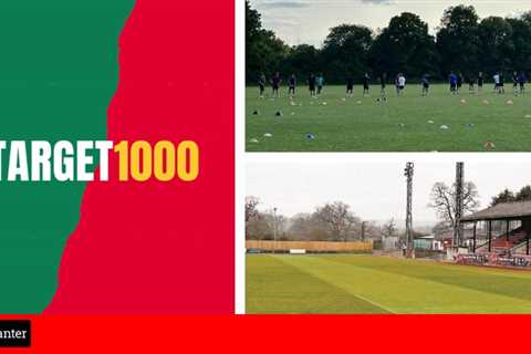 Ambitious newly formed 11th tier club target 1,000 fans for their first league game