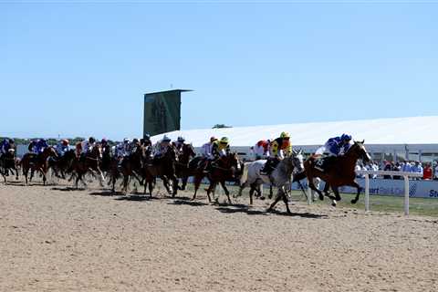 Northumberland Plate horse numbers – full list of runners for Newcastle’s Pitmen’s Derby