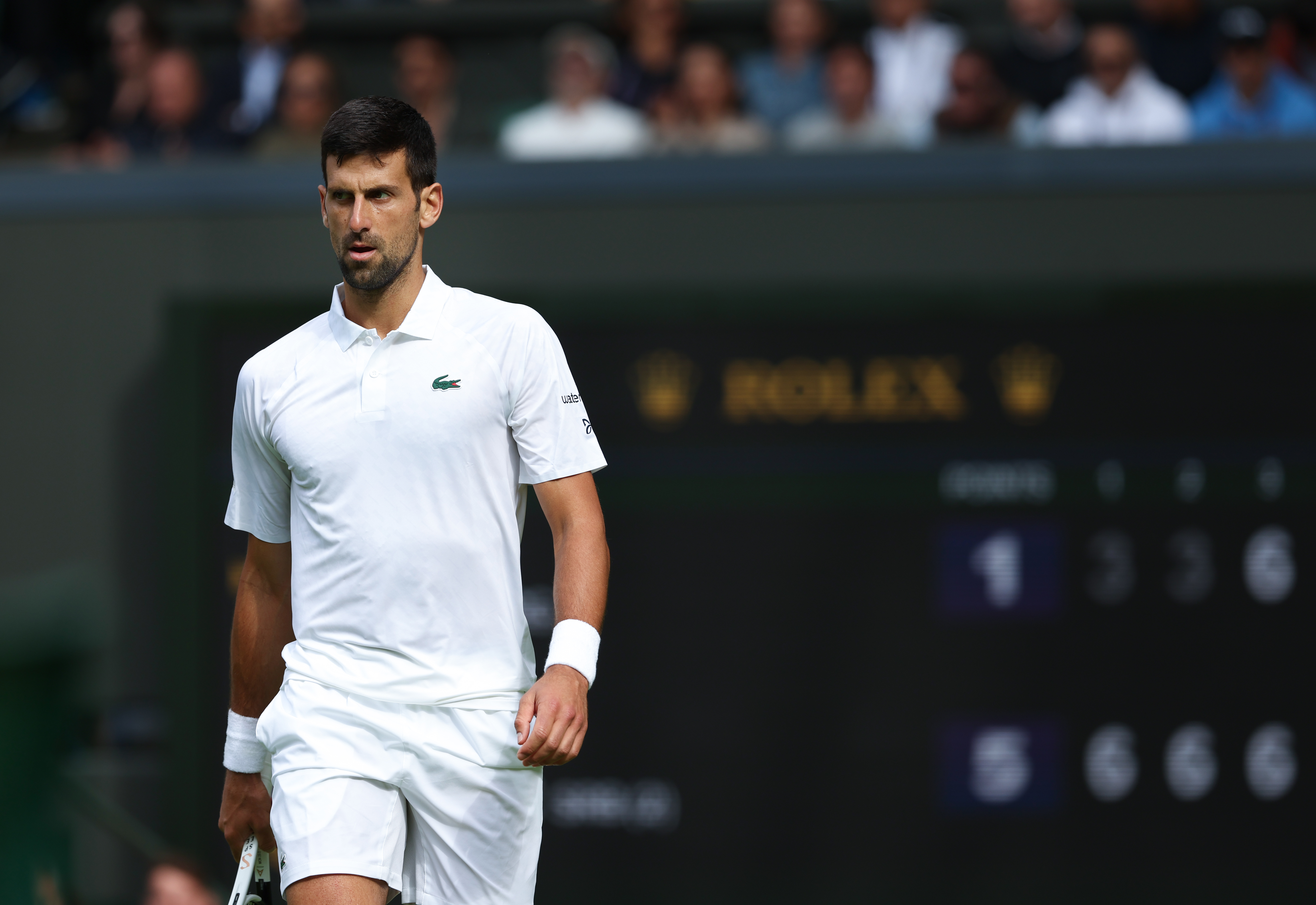 When has Novak Djokovic lost at Wimbledon?