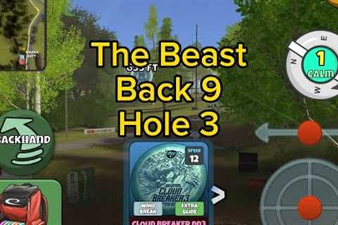 The Beast, Back 9, Hole 3 : Disc Golf Valley