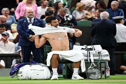 Wimbledon fans think Novak Djokovic is Terminator after star reveals ‘biggest secret’ when he takes ..