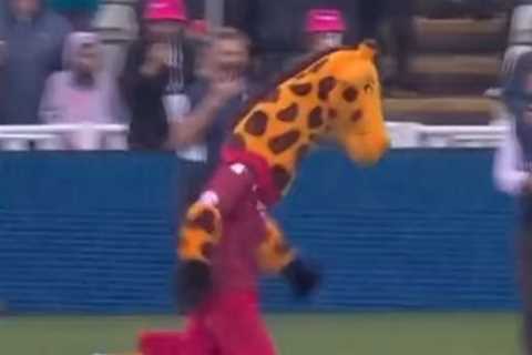 Mascot Lanky accused of cheating as fans demand massive giraffe stripped of title after T20 finals..