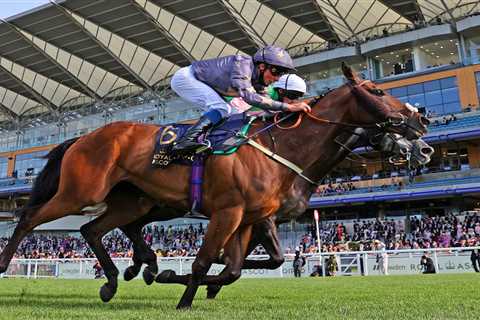 Racing tragedy as beloved horse who pulled off one of biggest Royal Ascot shocks ever dies aged nine