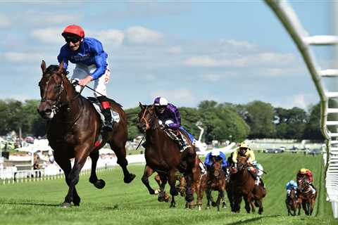 Epsom Derby and King George hero Adayar retired aged five as trainer Charlie Appleby says ‘he will..