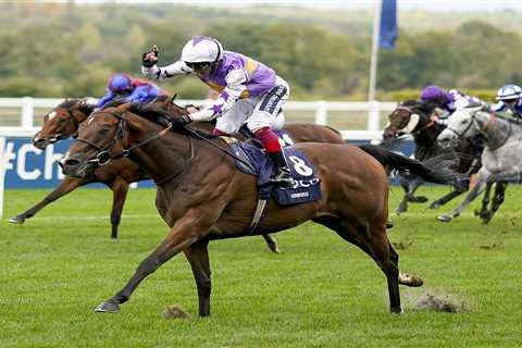 Everything is set up perfectly for my boy Kinross to strike on day one of Glorious Goodwood