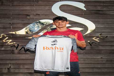 Swansea sign Arsenal's Charlie Patino on season-long loan