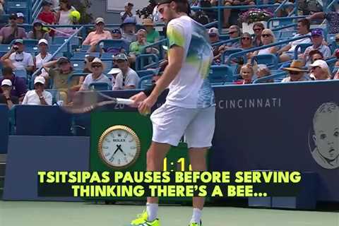 Tennis Fan Apologizes for Imitating Bee During Stefano Tsitsipas' Match at Cincinnati Masters