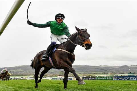 Willie Mullins' Big Guns Set to Take on Constitution Hill in Epic Showdown