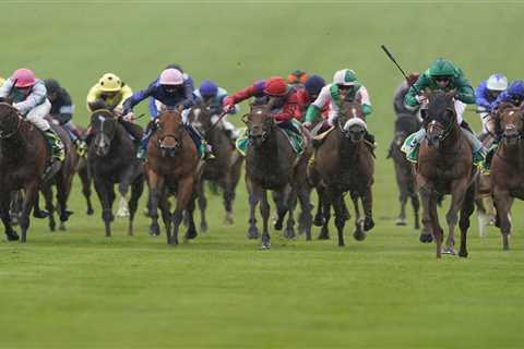 Templegate's Tip for the Cambridgeshire Handicap at Newmarket