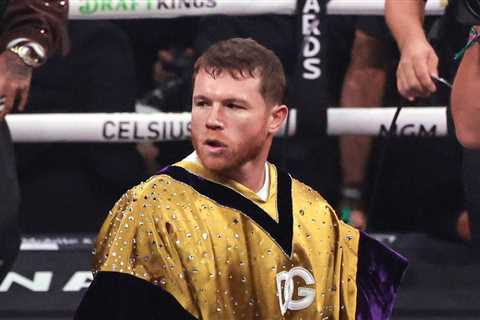 Canelo ‘feels great’ again after confidence issues: ‘Finally, I’m back!’