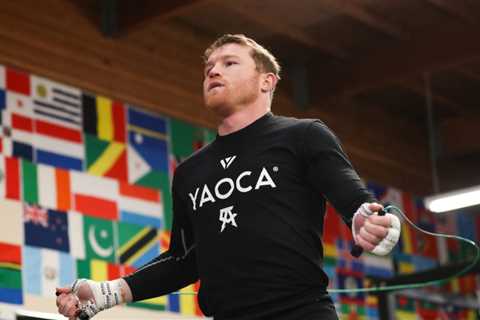 What Is Next For Canelo?