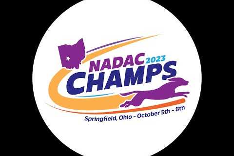 2023 NADAC Champs - Round 2 (Elite Ring)