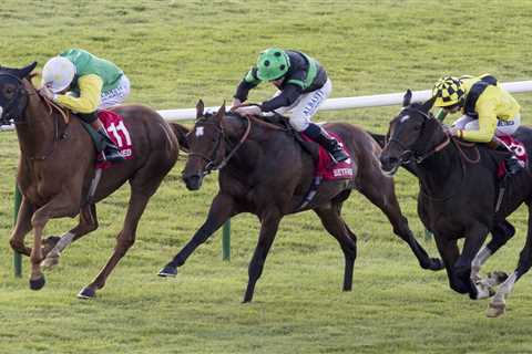 Cesarewitch Horse Numbers, Runners, Riders, and Templegate Tip for Newmarket Thriller