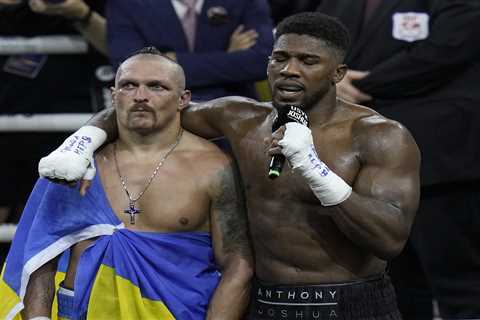 Usyk predicts Wilder will win Joshua showdown