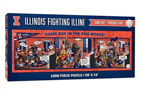 Illinois Fighting Illini | College Cornhole Boards