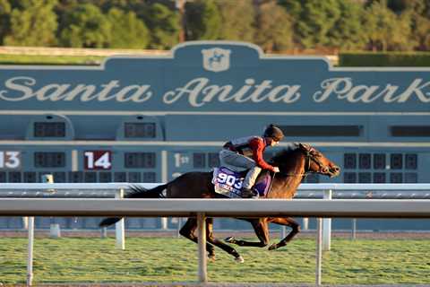 Big Evs on Brink of Breeders’ Cup History for Owner Who Named Him in Honor of Late Best Mate