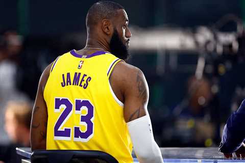 LeBron James Praises 1 Lakers Offseason Addition