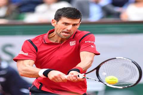 Novak Djokovic's French Open-Winning Racket from 2016 Up for Auction