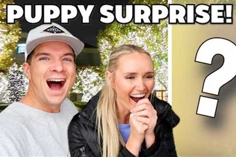 OUR FAMILY SURPRISED EVERYONE WITH A PUPPY! 🐶 WE HAD NO IDEA THEY GOT ONE! 😍