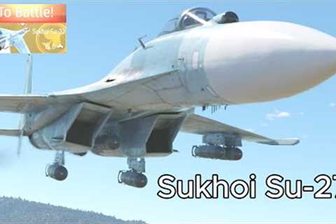 Sukhoi Su-27 TEST FLIGHT - WAR THUNDER DEV SERVER