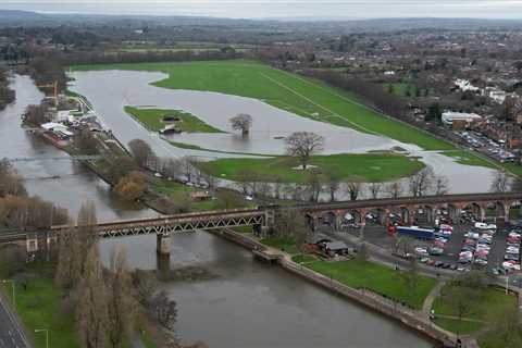 British racecourse in ‘stunning’ location becomes home for swans after it’s left hopelessly flooded