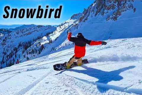 Ripping INSANE POW LAPS with Snowboard Pro Camp - Snowbird 2024