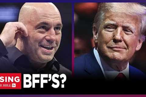 Rogan, Trump TEAM-UP? Media Giants Seen FIST-BUMPING At UFC Event, ENDORSEMENT Coming?: Rising