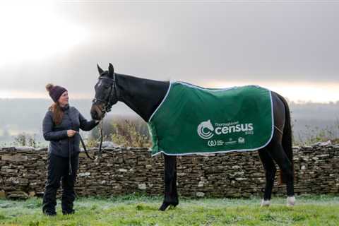 Final chance for owners to complete Britain’s inaugural Thoroughbred Census