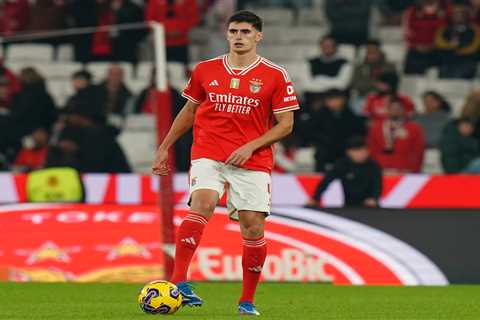 Chelsea Eyeing Move for Benfica Defender Antonio Silva