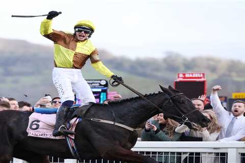 Templegate’s Top Cheltenham Festival Contenders: 10-1 and 8-1 Ante-Post Eyecatchers