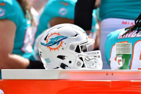 New Dolphins Veteran Explains What He Brings To The Team